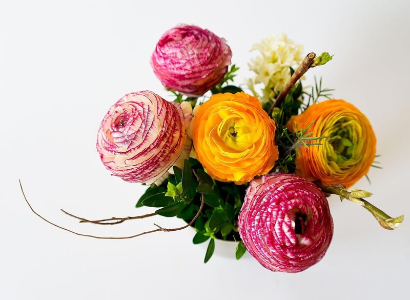 Artistic Petal Arrangements