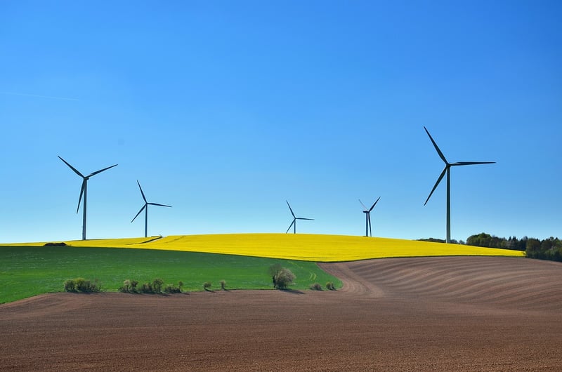 Sustainable Designs